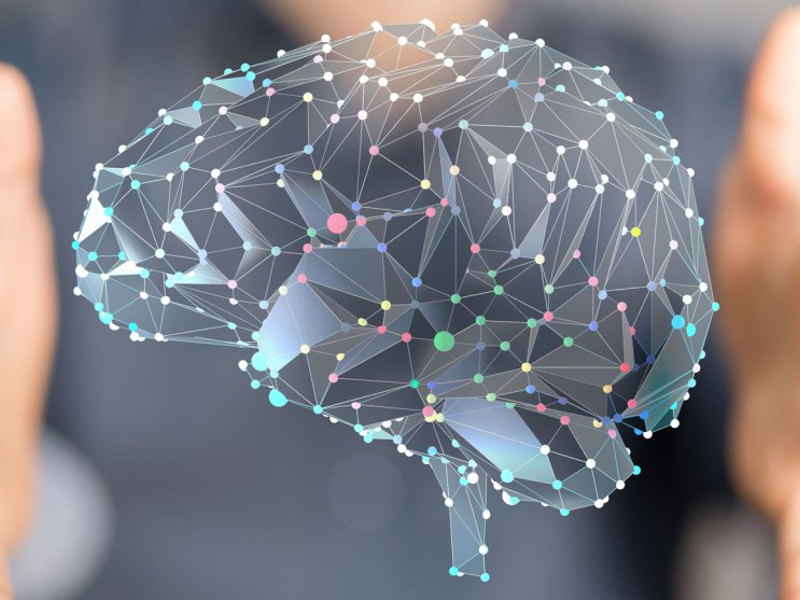 Sobre Seminário NeuroMarketing no Porto dia 12 de janeiro